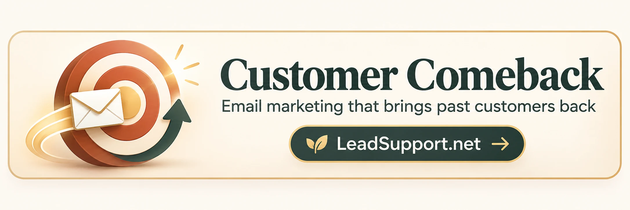Customer Comeback — Email marketing that brings past customers back. LeadSupport.net